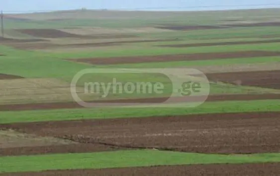 Commercial Plot Lease In Zestaphoni view 1