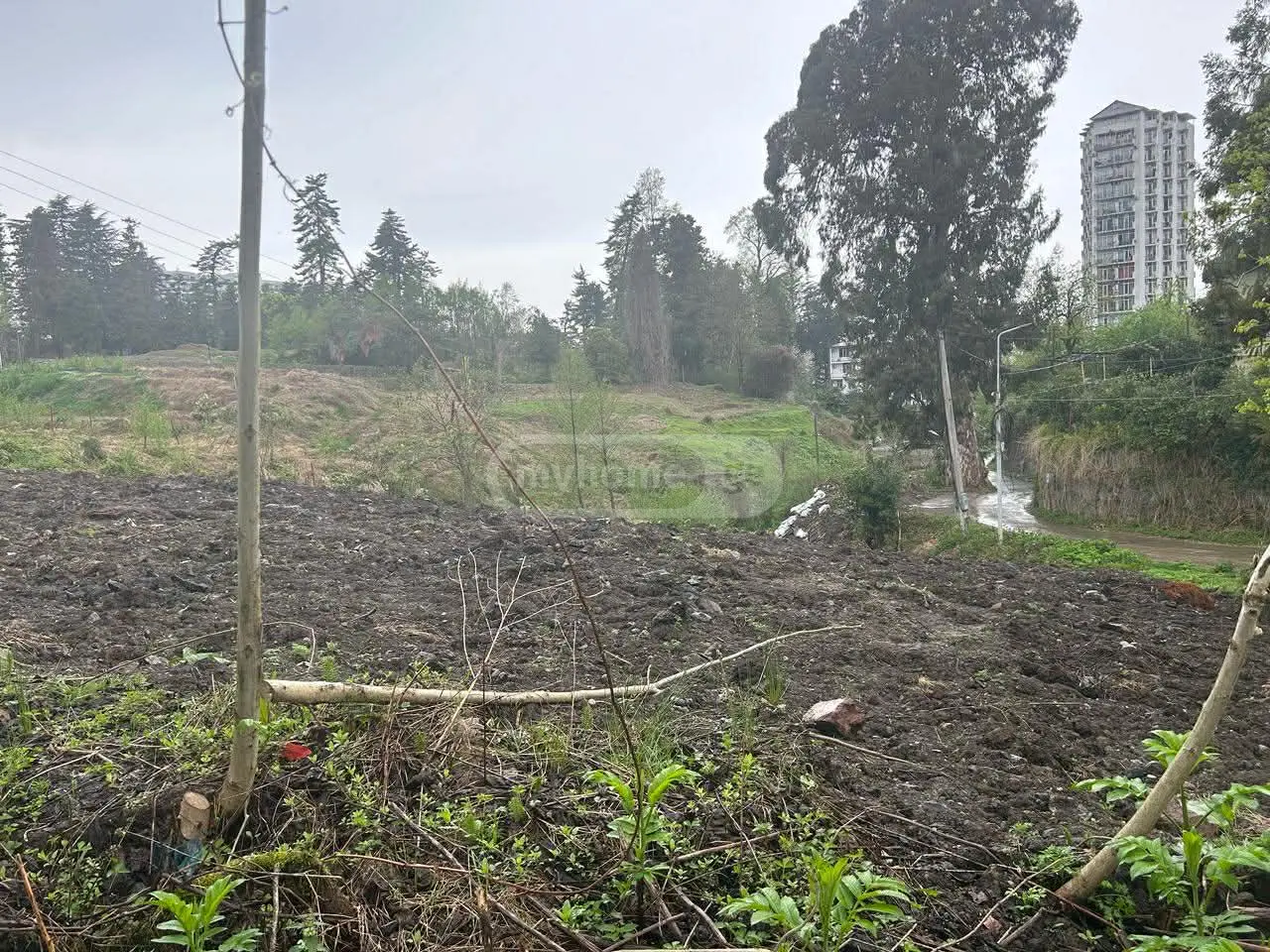 Agricultural Plot For Sale In Makhinjauri, In Batumi view 2