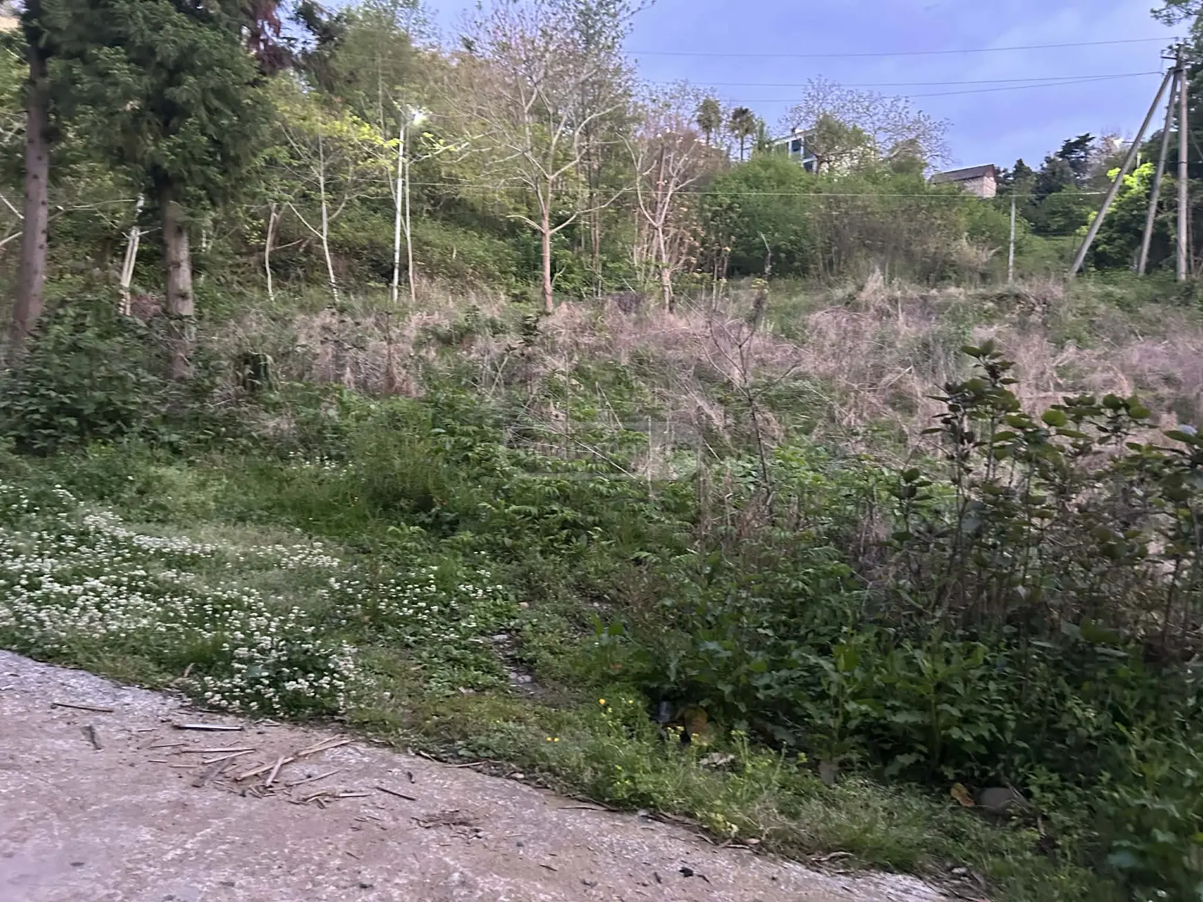 Agricultural Plot For Sale In Makhinjauri, In Batumi view 3