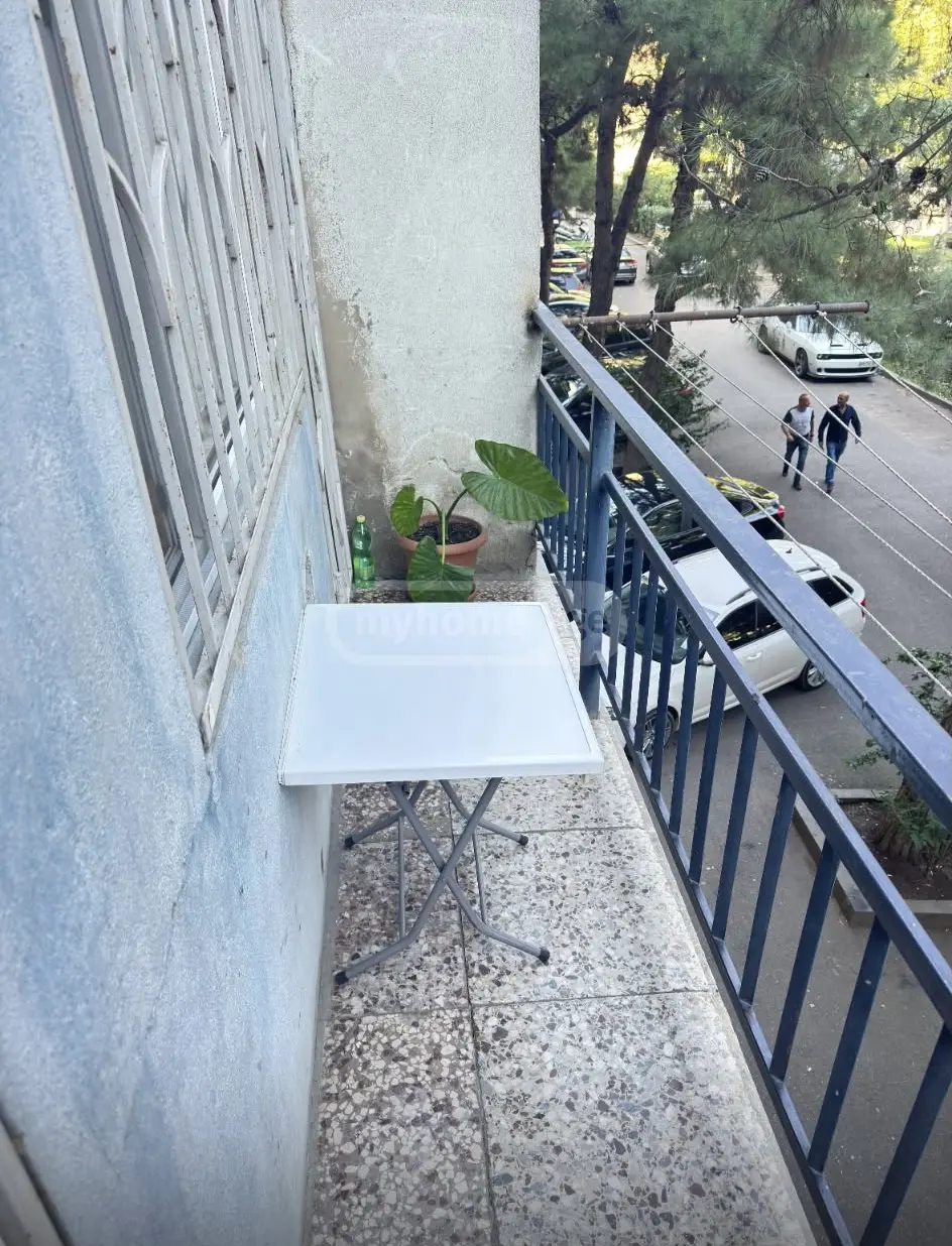 3 Room Apartment For Rent In Tabakhmela view 8