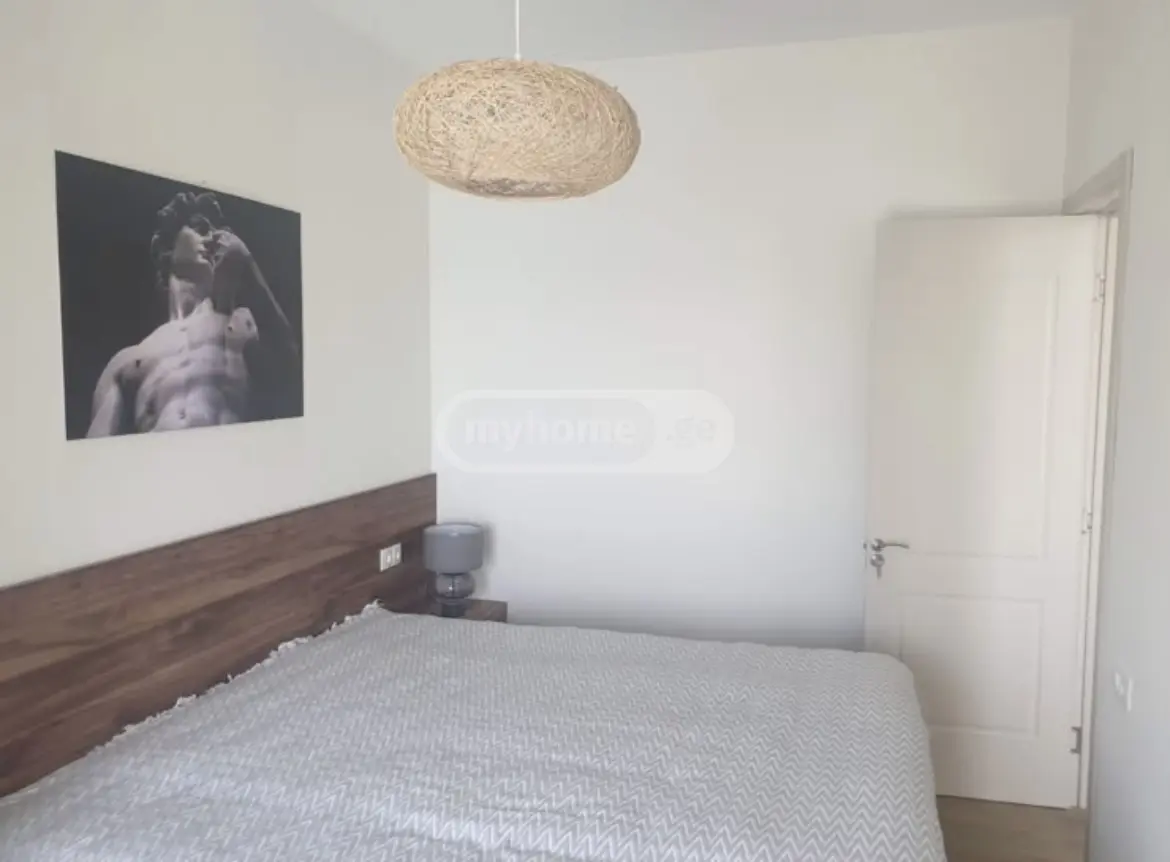 2 Room Apartment For Rent In Shalauri, In Telavi Municipality view 7