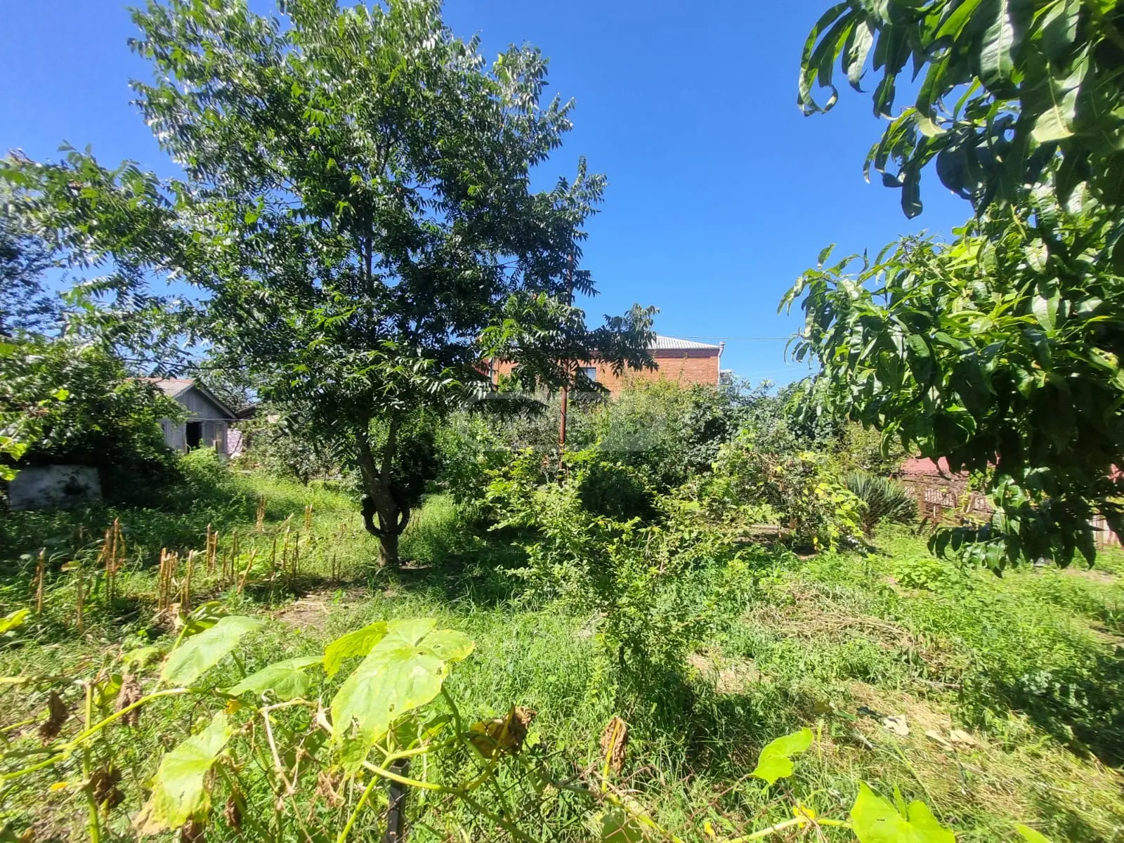 5 Room Private House For Sale view 12