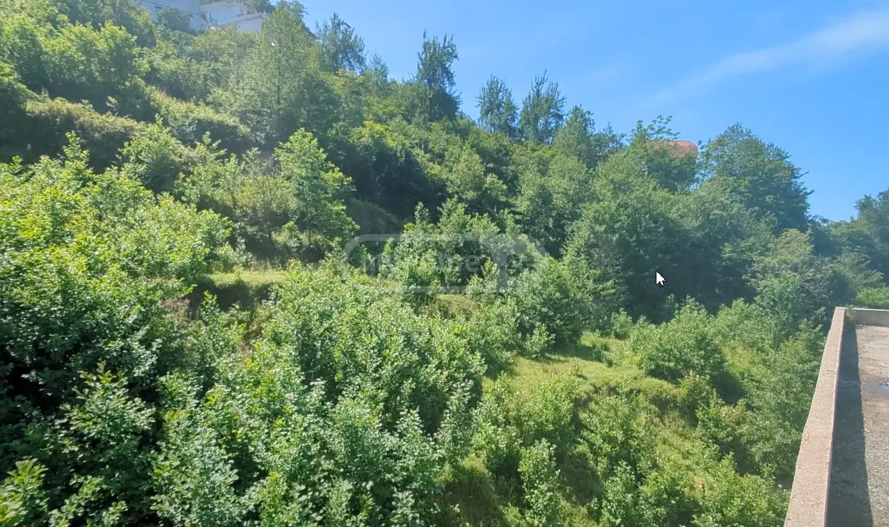 Non-Agricultural Plot For Sale In Kvariati, In Khelvachauri Municipality view 7