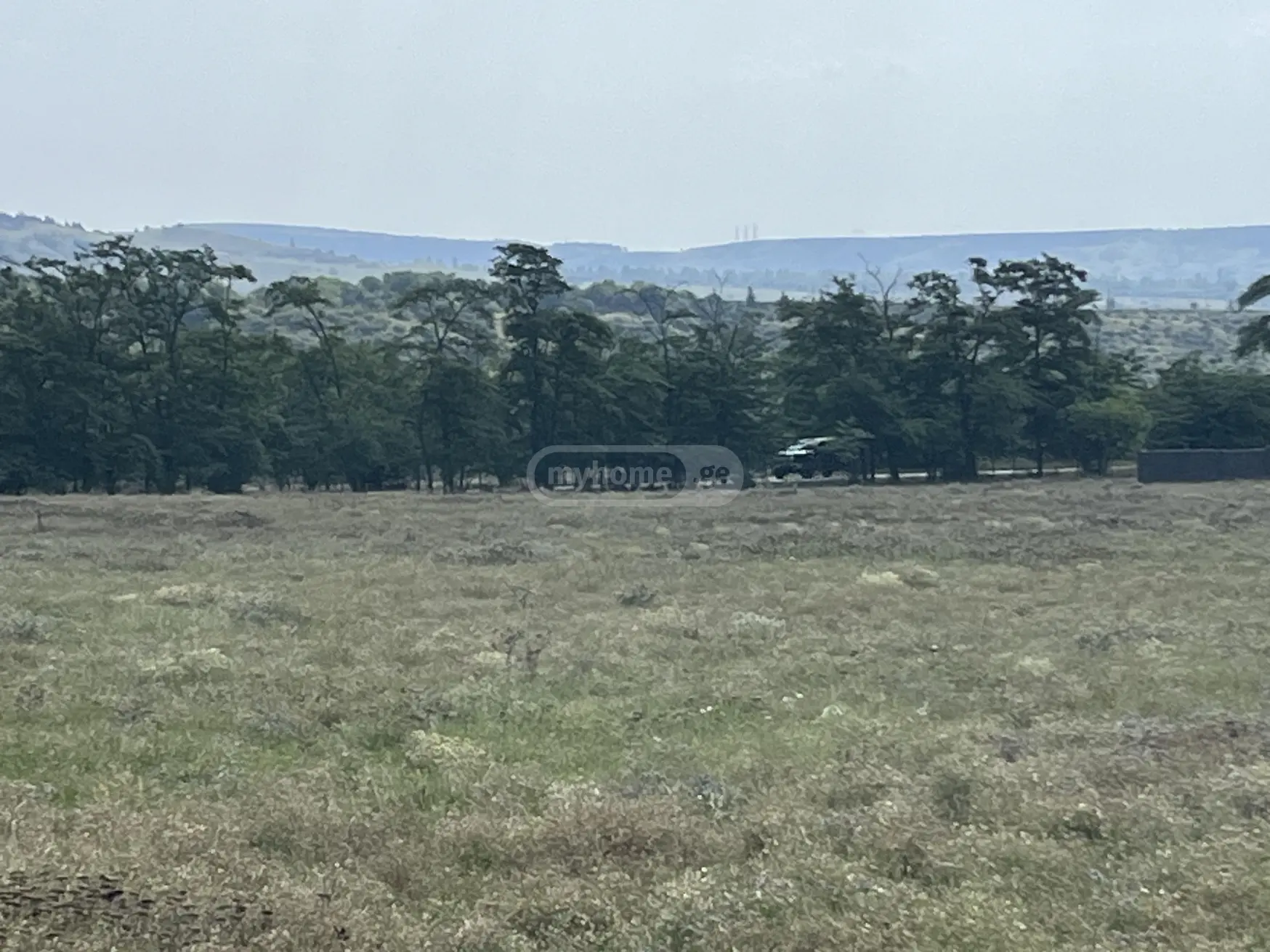 Agricultural Plot For Sale In Gardabani view 2