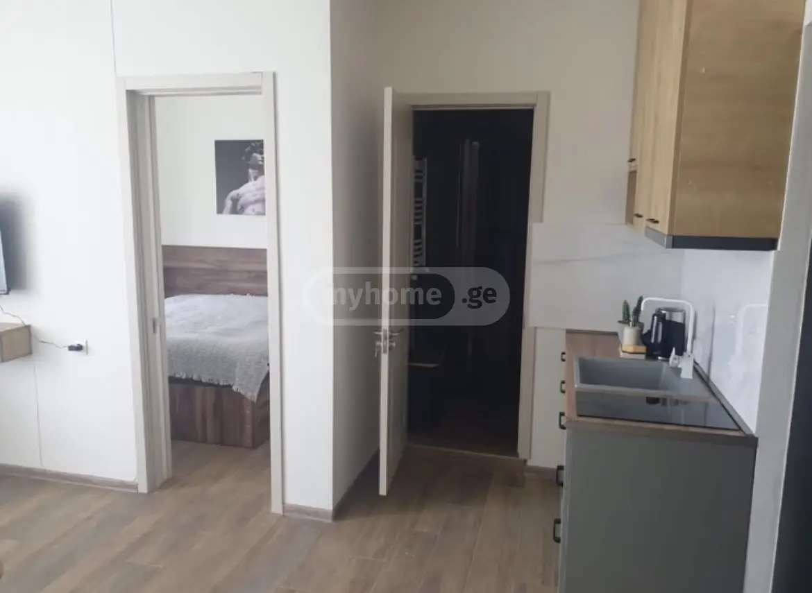 2 Room Apartment For Rent In Shalauri, In Telavi Municipality view 5