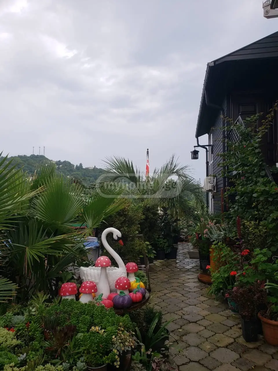 5 Room Hotel For Rent In Makhinjauri, In Batumi view 7