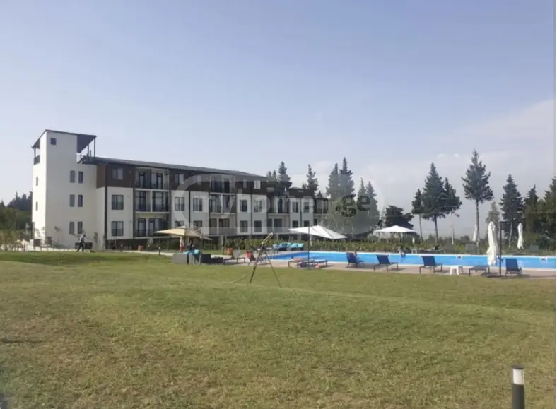 2 Room Apartment For Rent In Shalauri, In Telavi Municipality view 12