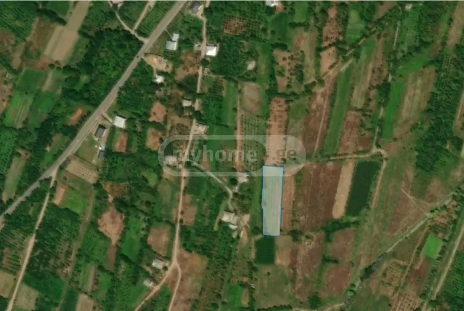 იყიდება Agricultural Plot In Goriში view 1