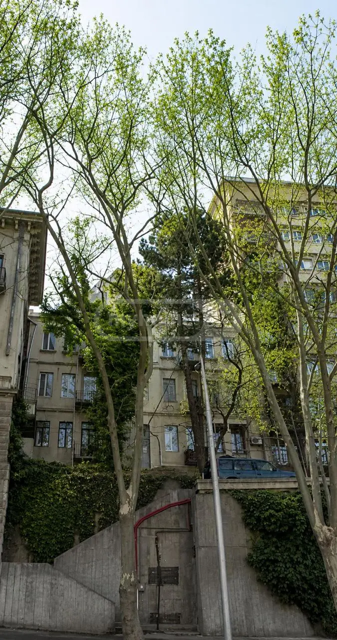 3 Room Apartment For Sale view 1