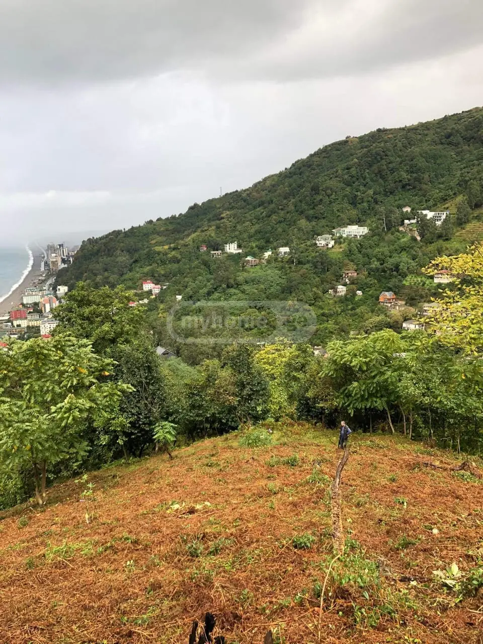 Agricultural Plot For Sale In Kvariati, In Khelvachauri Municipality view 1