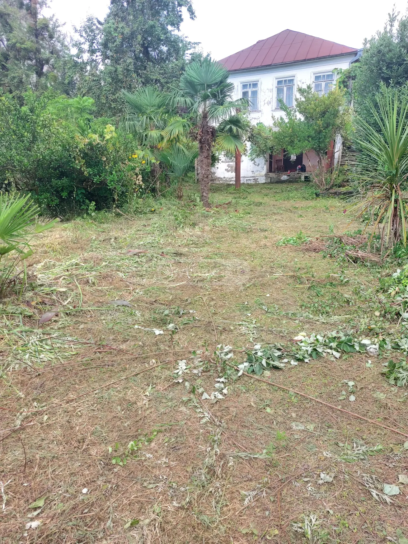 5 Room Private House For Sale view 4