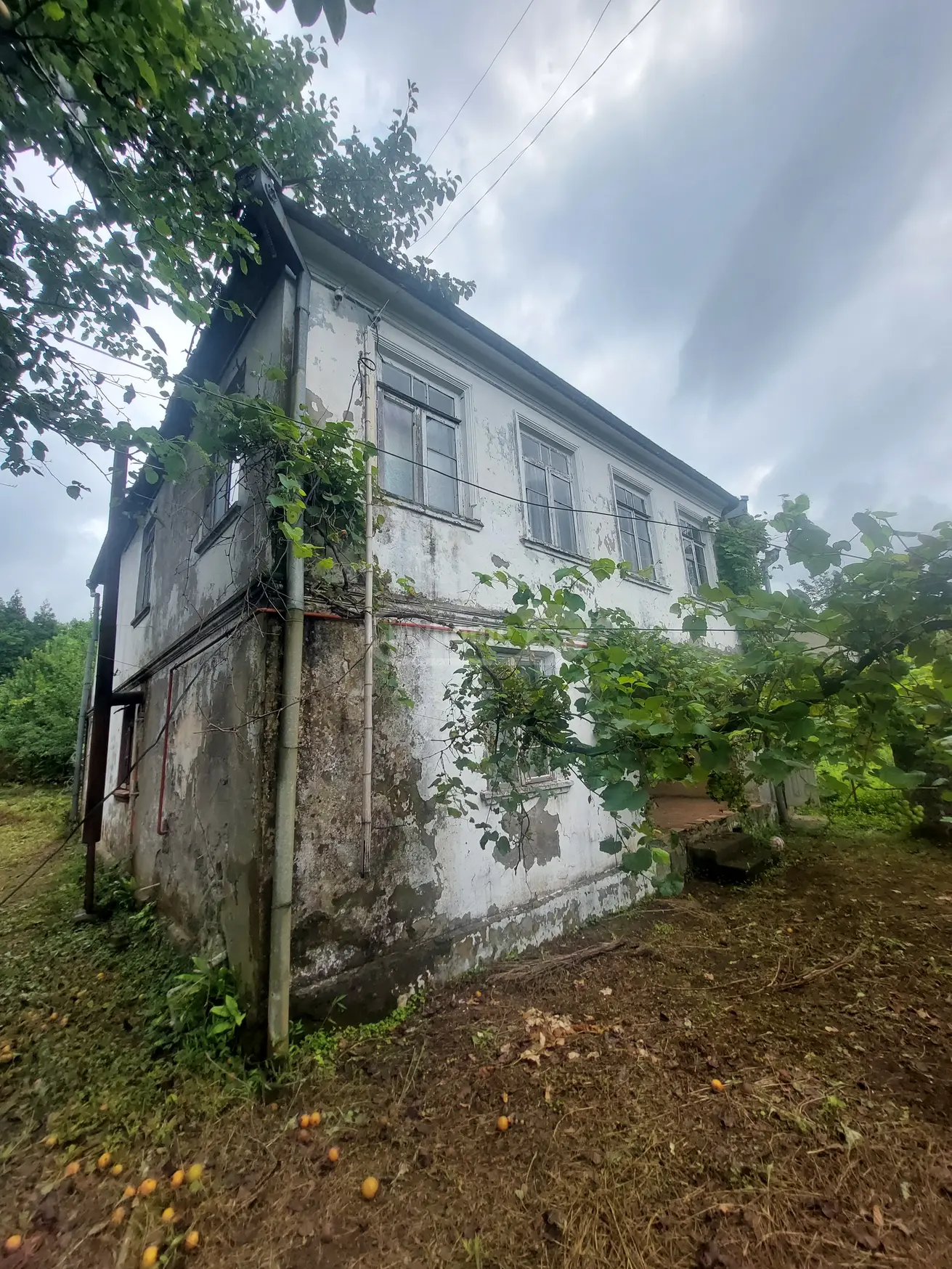 5 Room Private House For Sale view 3