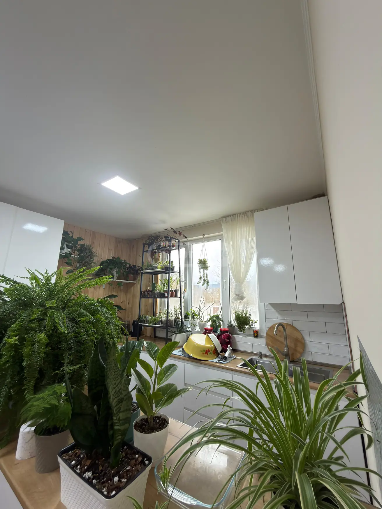 10+ Room Private House For Sale In Tianeti, In Tianeti Municipality view 1