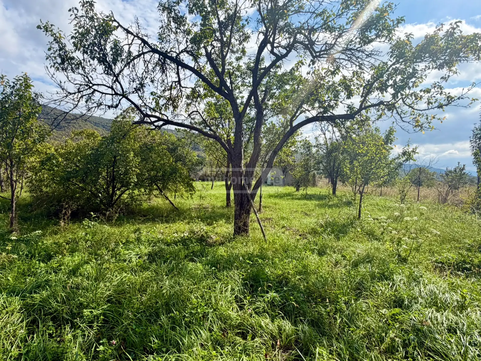 6 Room Country House For Sale view 15