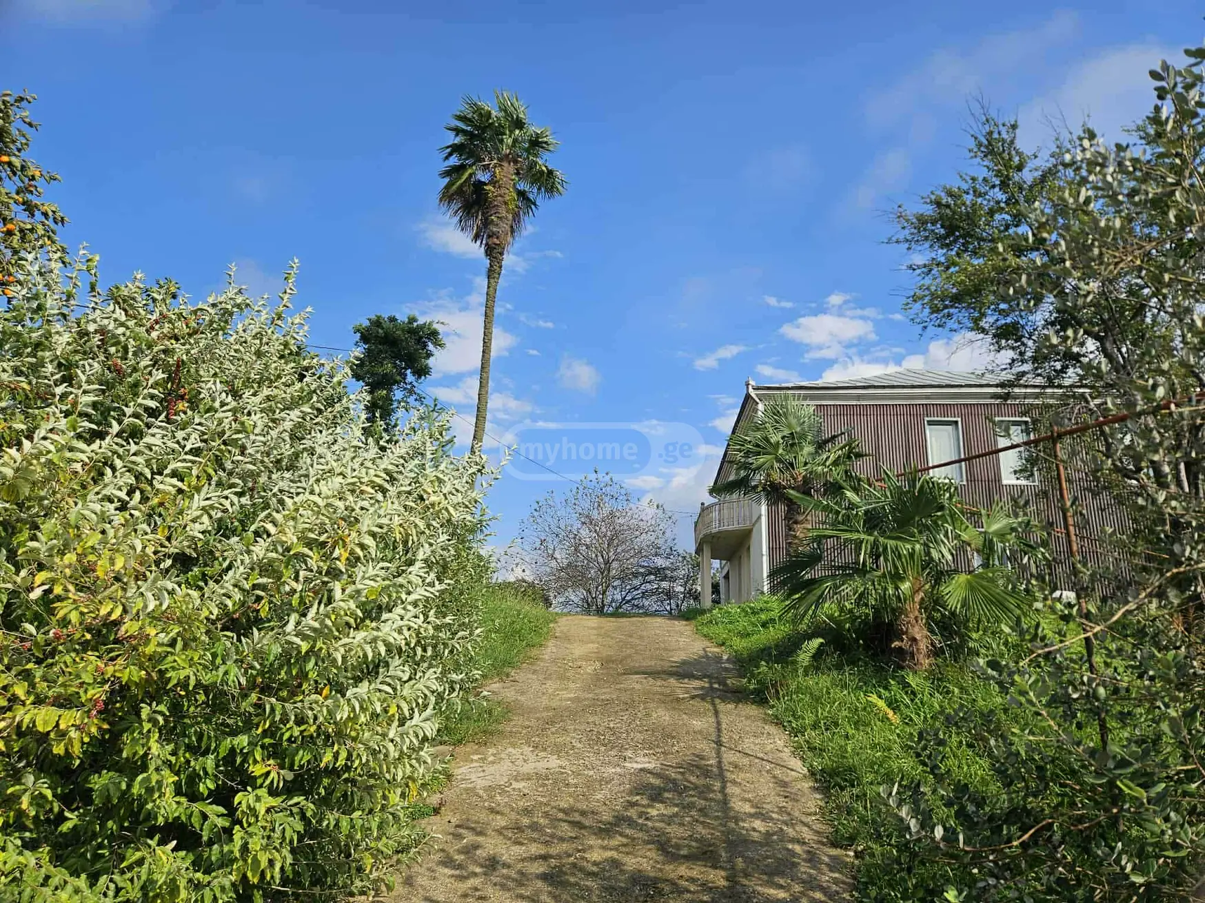 5 Room Private House For Rent In Tsikhisdziri, In Kobuleti Municipality view 2
