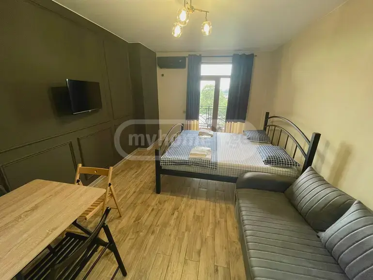 1 Room Apartment For Sale view 7