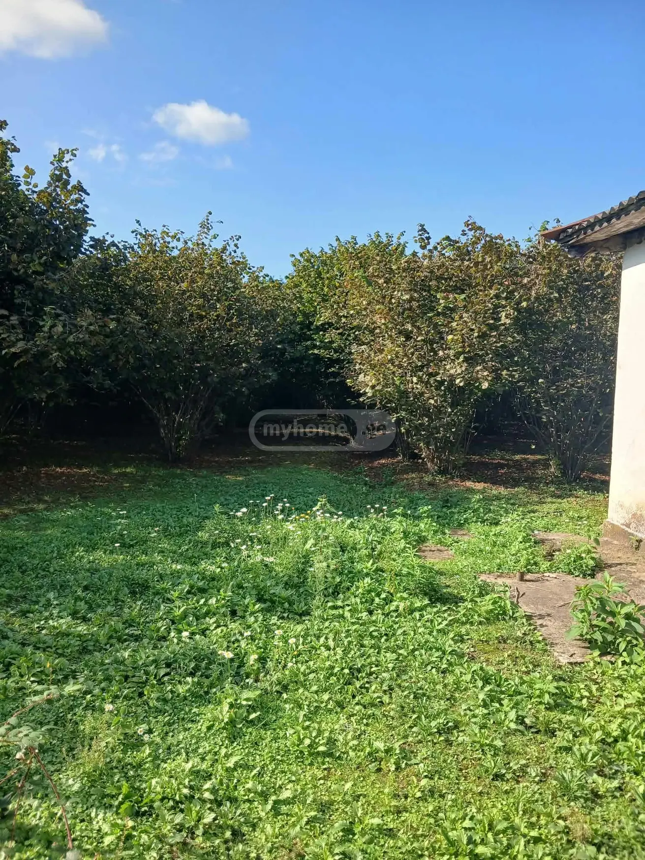 5 Room Private House For Sale view 14