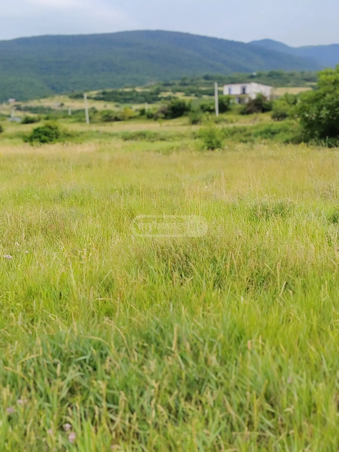 Agricultural Plot For Sale In Telatgori, In Kaspi Municipality view 2