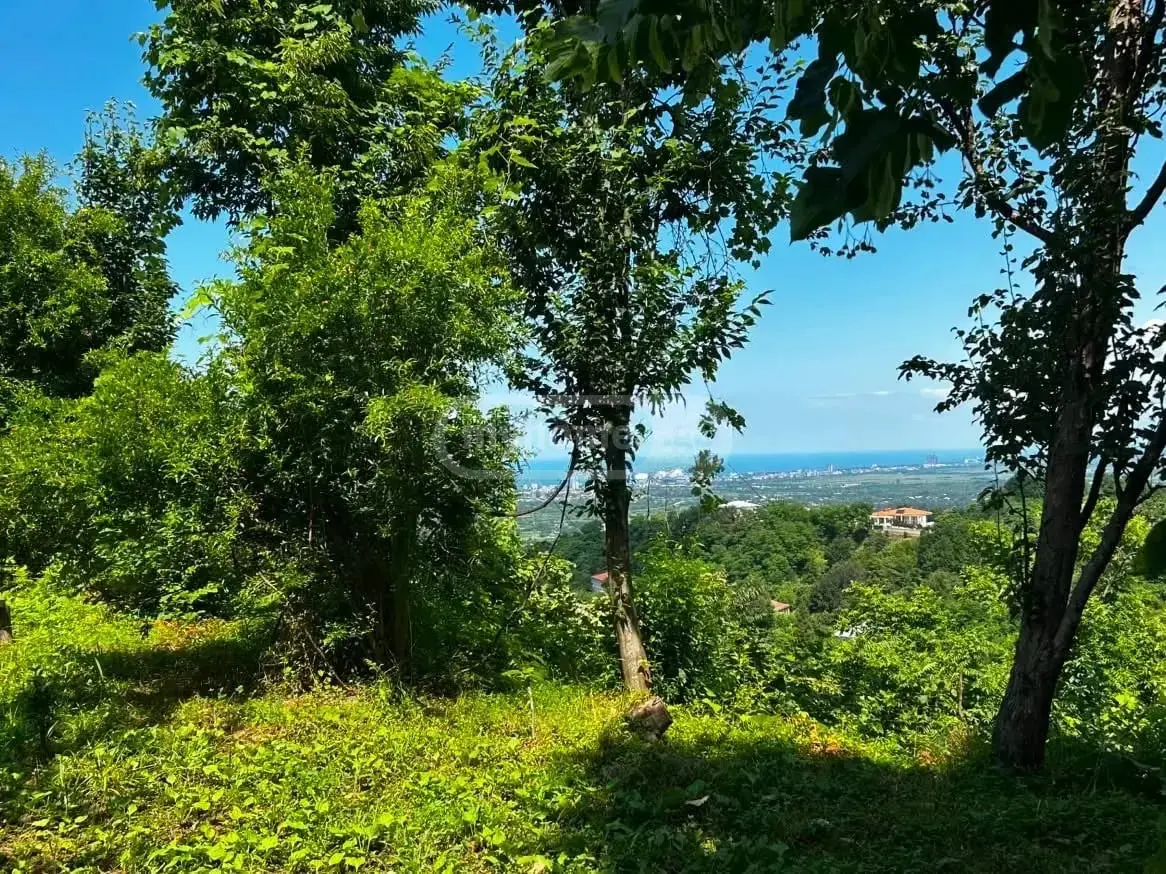 იყიდება 10+ Room Country House In Kvirike, In Kobuleti Municipalityში view 13