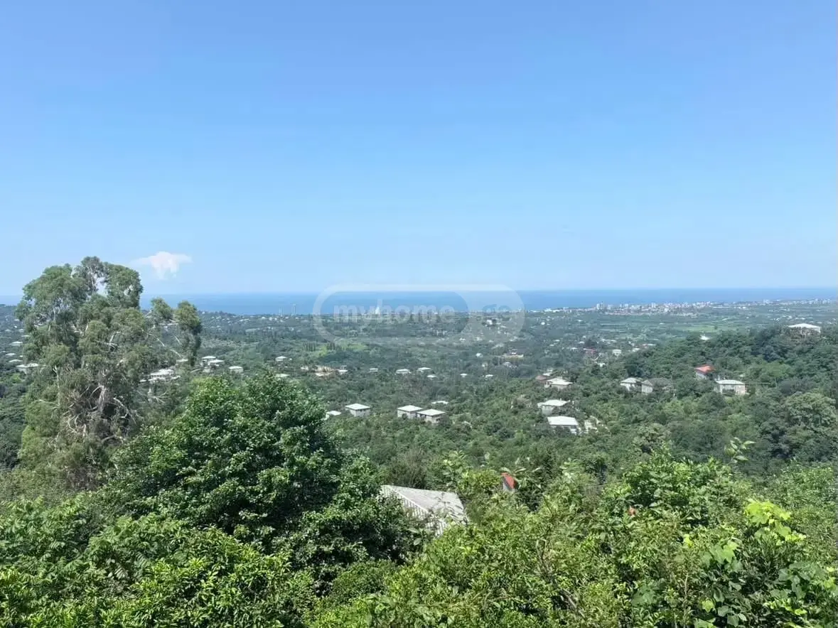 იყიდება 10+ Room Country House In Kvirike, In Kobuleti Municipalityში view 3