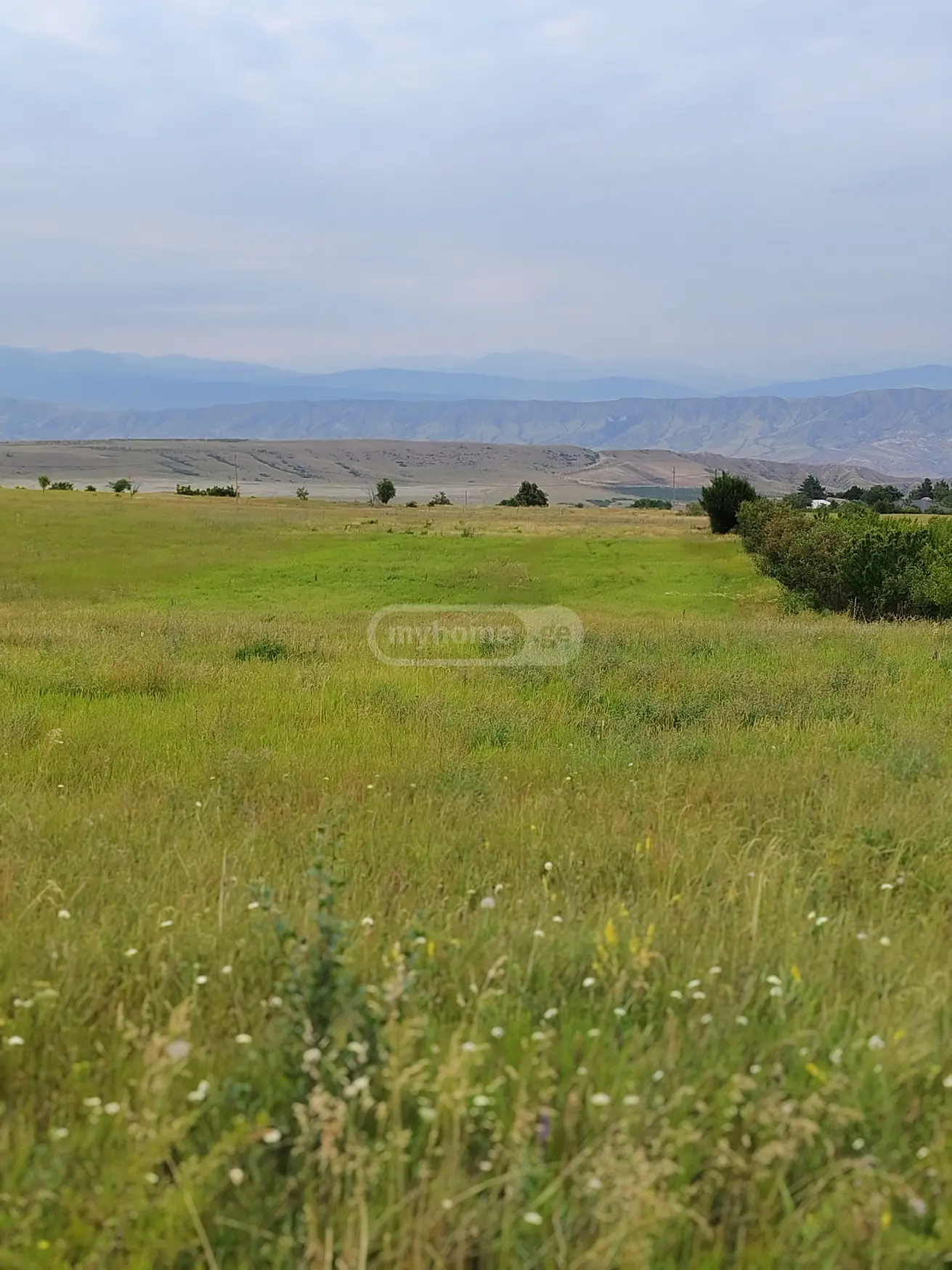 Agricultural Plot For Sale In Telatgori, In Kaspi Municipality view 4