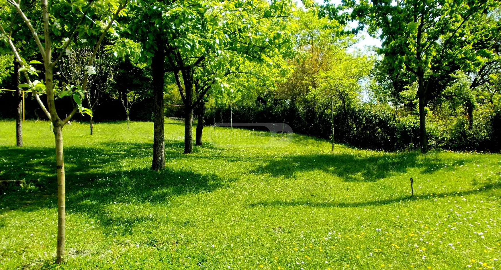 5 Room Private House For Sale view 9