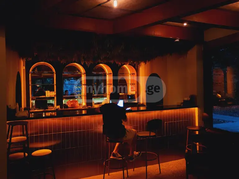 6 Room Private House Daily Rent In Vake view 8