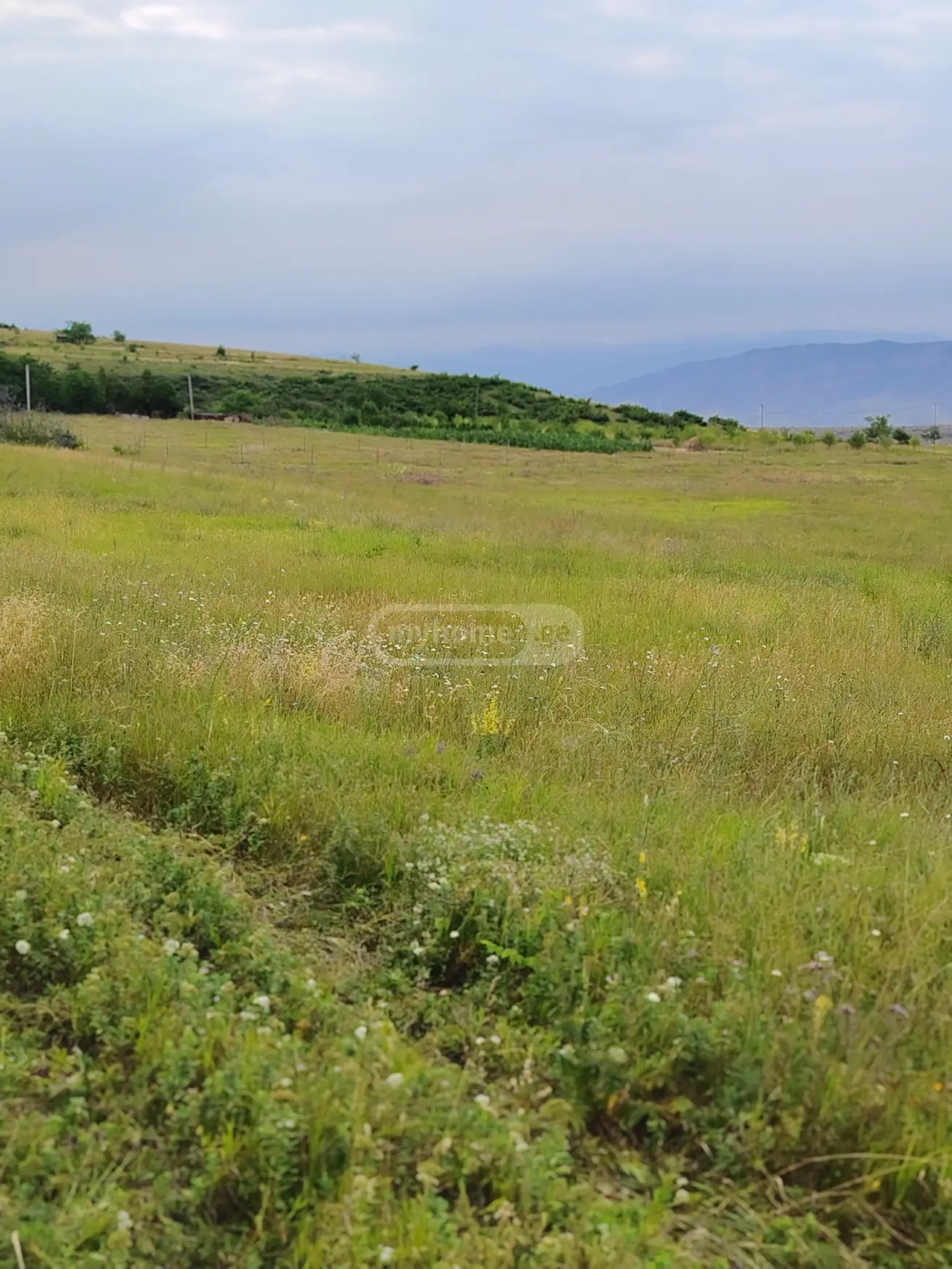 Agricultural Plot For Sale In Telatgori, In Kaspi Municipality view 5