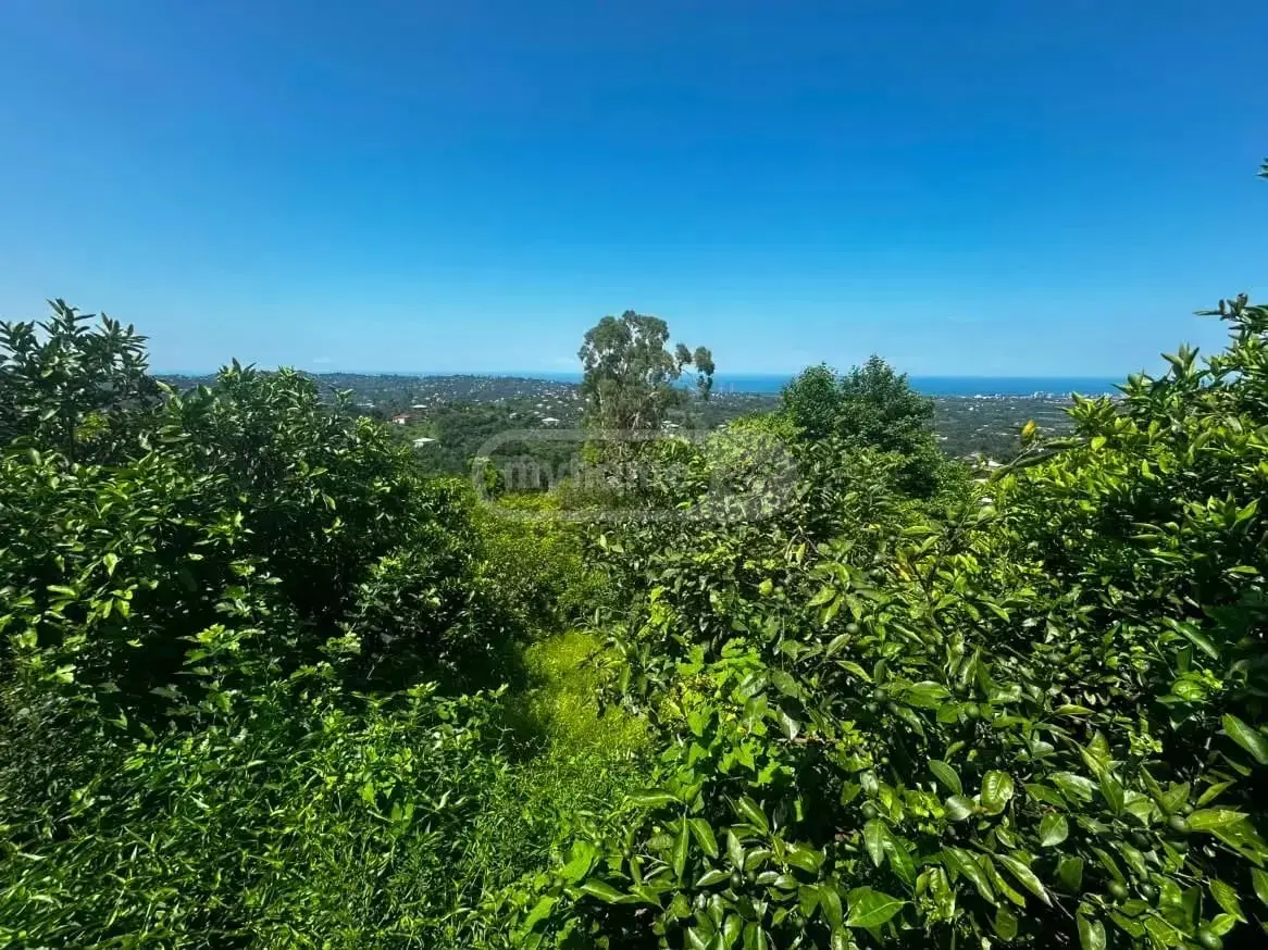 იყიდება 10+ Room Country House In Kvirike, In Kobuleti Municipalityში view 7