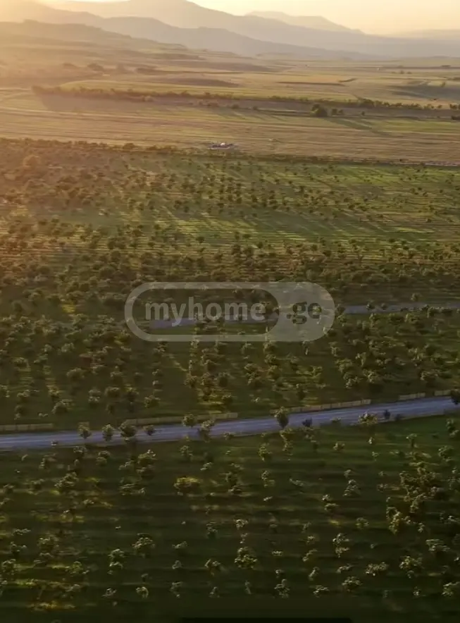 Продажа Agricultural Plot в In Kavtiskhevi, In Kaspi Municipality view 14