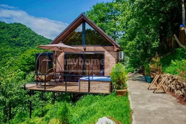 10+ Room Country House For Sale In Gvara, In Kobuleti Municipality view 4