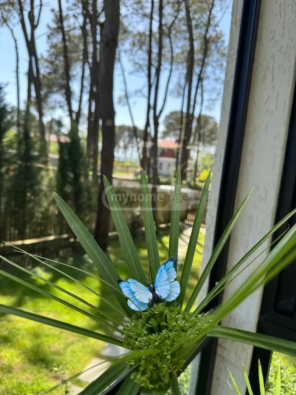 3 Room Private House For Rent In Shekvetili, In Ozurgeti Municipality view 13
