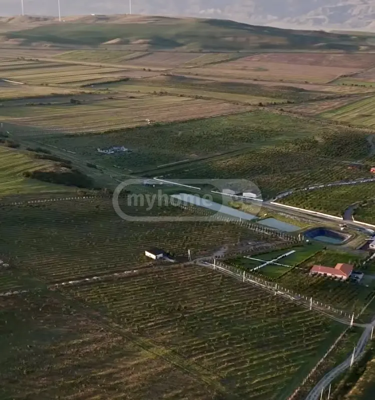 Продажа Agricultural Plot в In Kavtiskhevi, In Kaspi Municipality view 16
