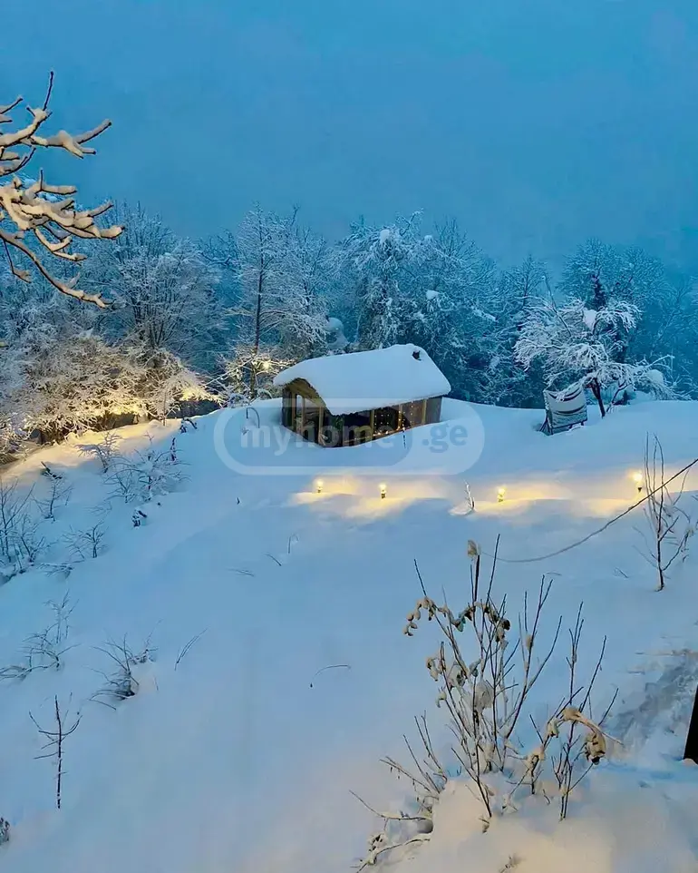 10+ Room Country House For Sale In Gvara, In Kobuleti Municipality view 13