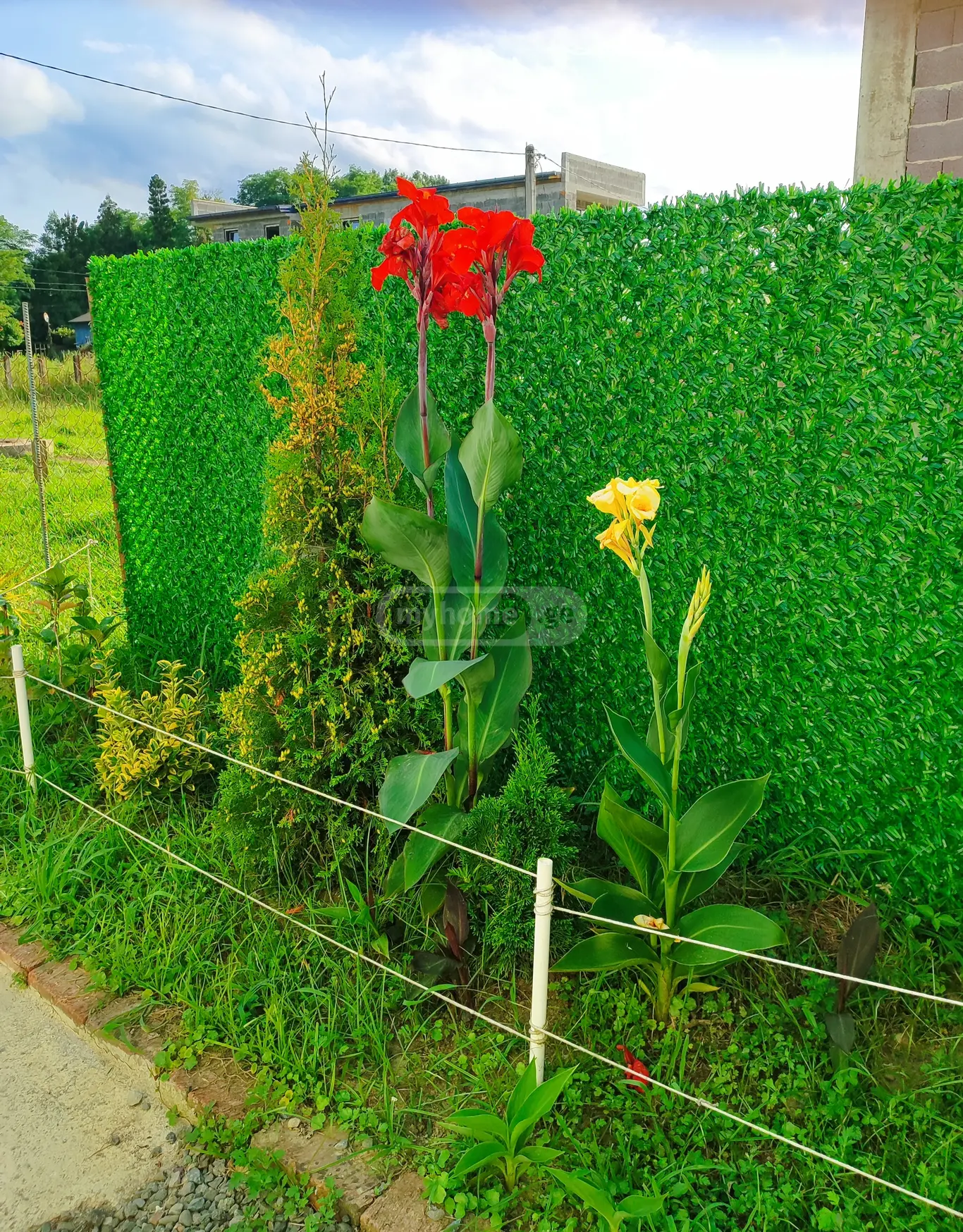 2 Room Private House For Sale view 7