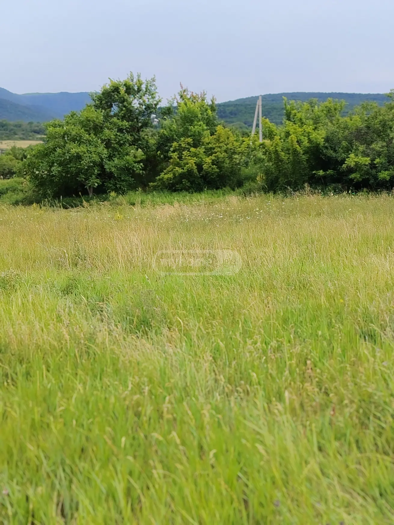 Agricultural Plot For Sale In Telatgori, In Kaspi Municipality view 3