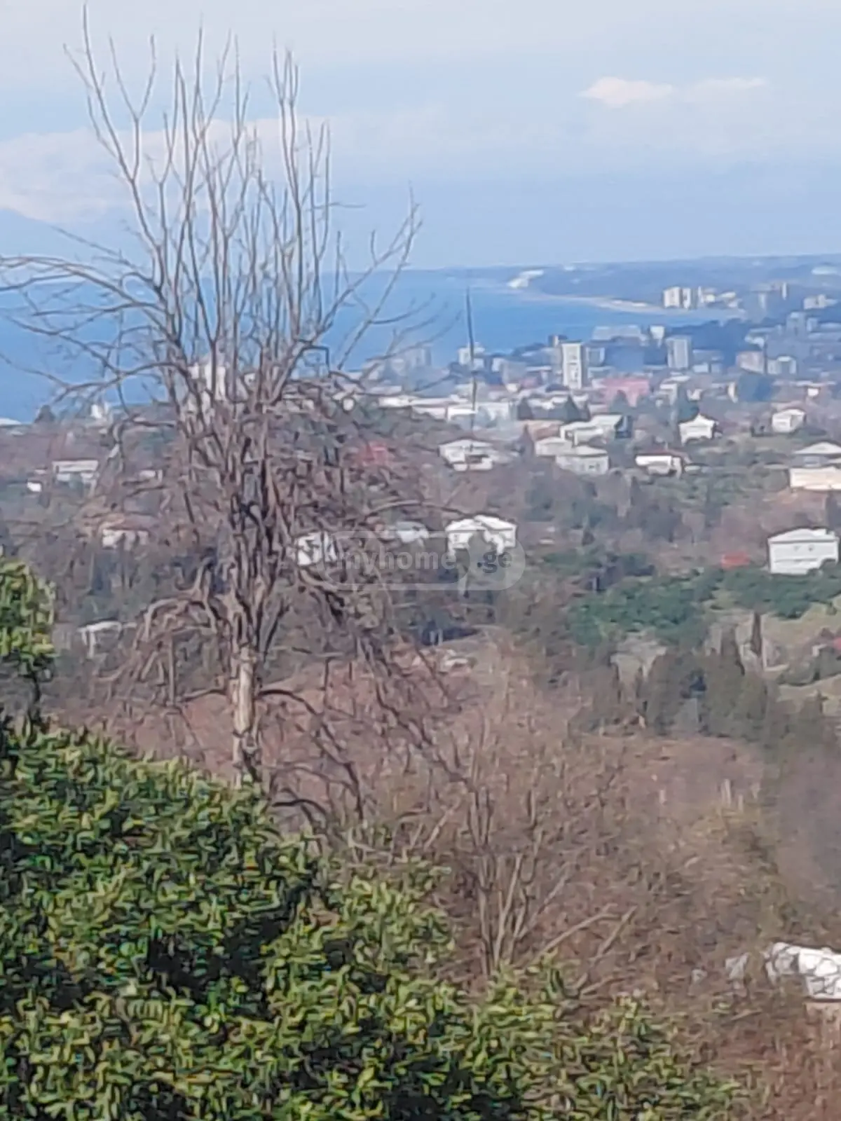 Agricultural Plot For Sale In Tsikhisdziri, In Kobuleti Municipality view 1