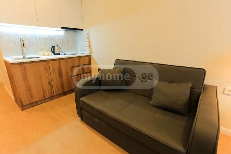 1 Room Apartment For Rent In Tsikhisdziri, In Kobuleti Municipality view 10