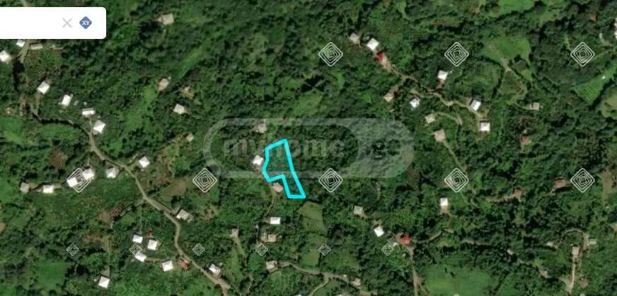 Agricultural Plot For Sale In Tsikhisdziri, In Kobuleti Municipality view 3