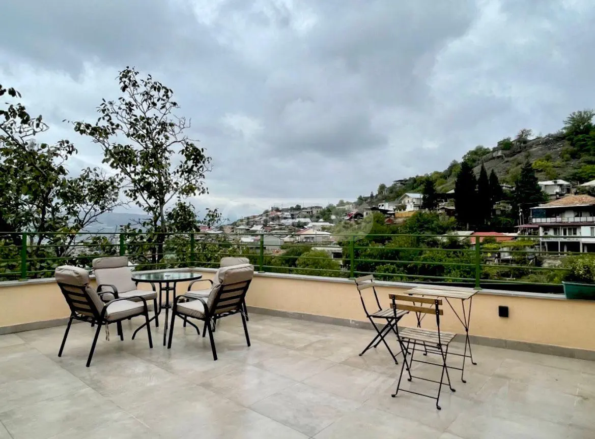 4 Room Private House Daily Rent In Nadzaladevi view 5