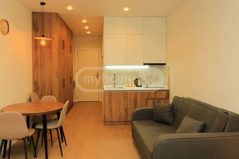 1 Room Apartment For Rent In Tsikhisdziri, In Kobuleti Municipality view 3