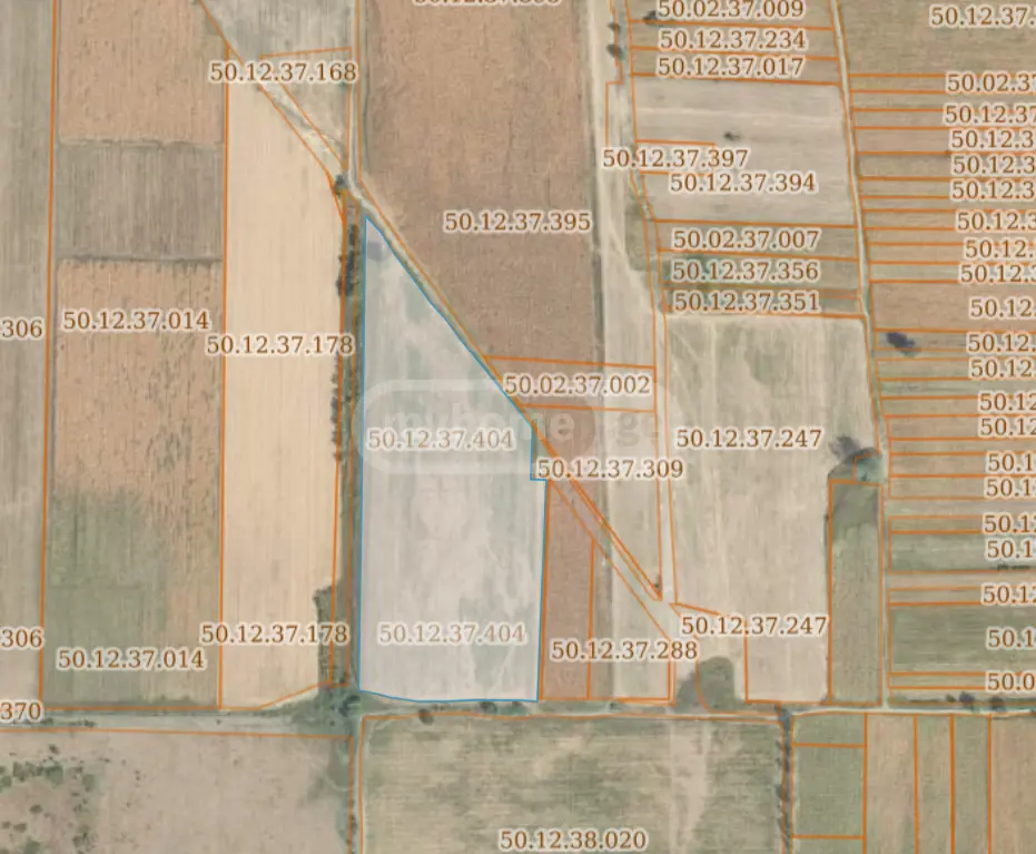 Agricultural Plot For Sale In Akhmeta view 1