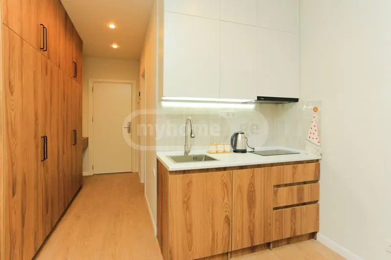 1 Room Apartment For Rent In Tsikhisdziri, In Kobuleti Municipality view 5