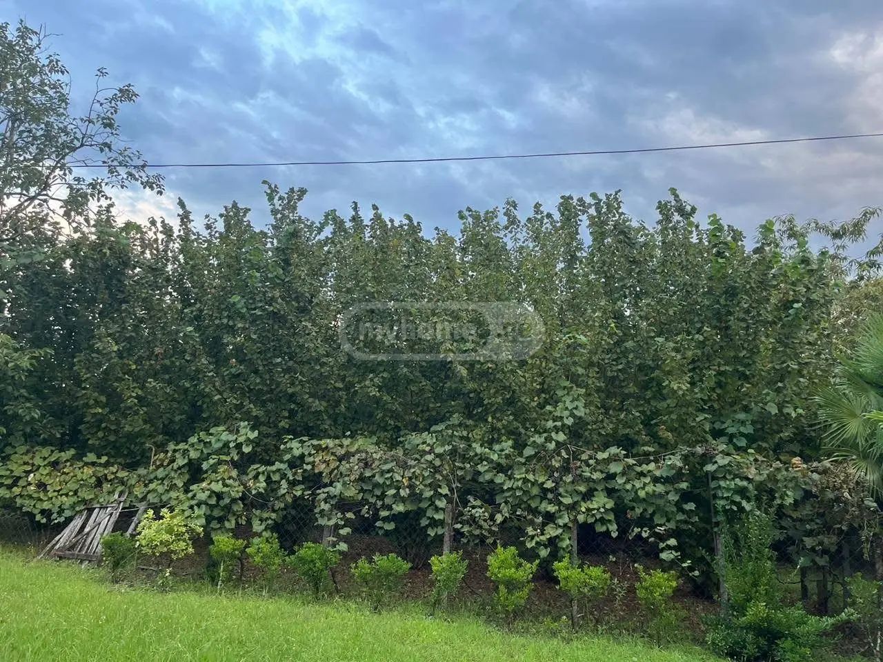 10+ Room Private House For Sale In Zugdidi view 2