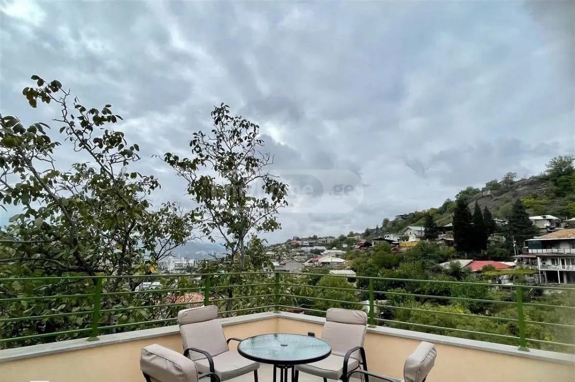 1 Room Private House Daily Rent In Nadzaladevi view 4