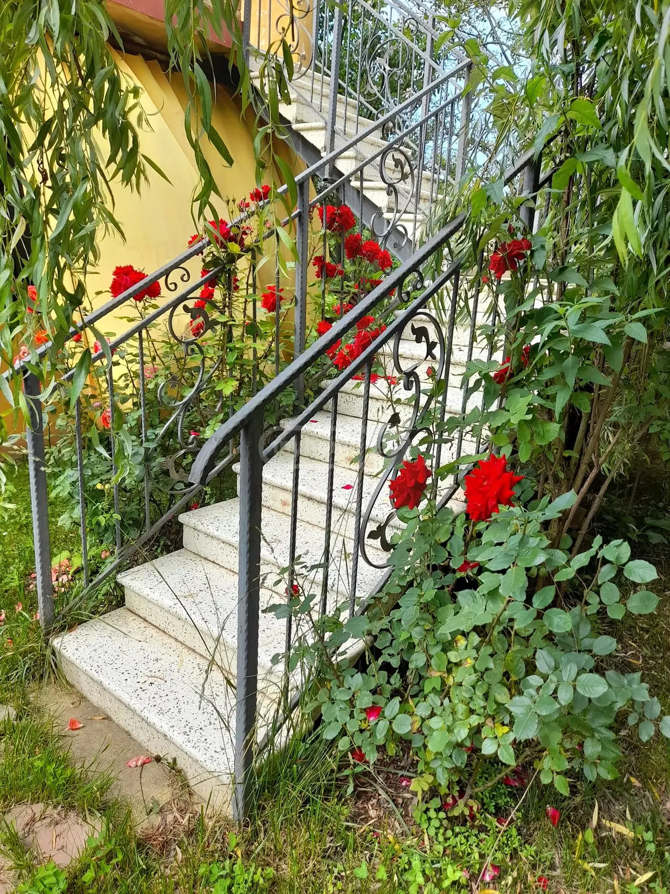 იყიდება 10+ Room Hotel In Sioni, In Tianeti Municipalityში view 6