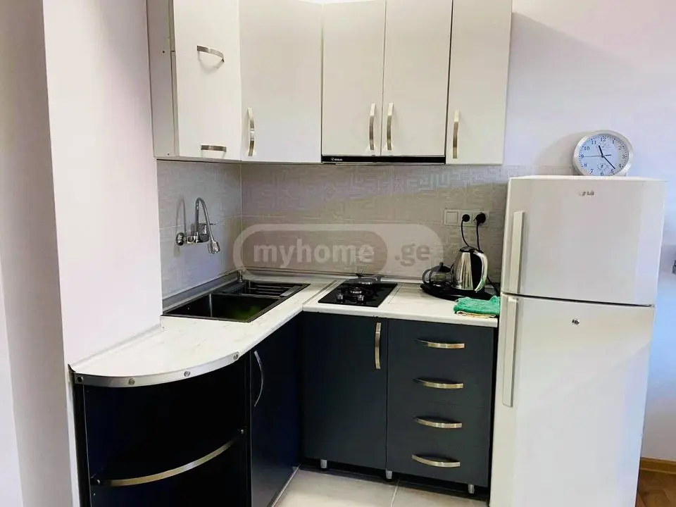 2 Room Apartment For Rent In Bakuriani view 5