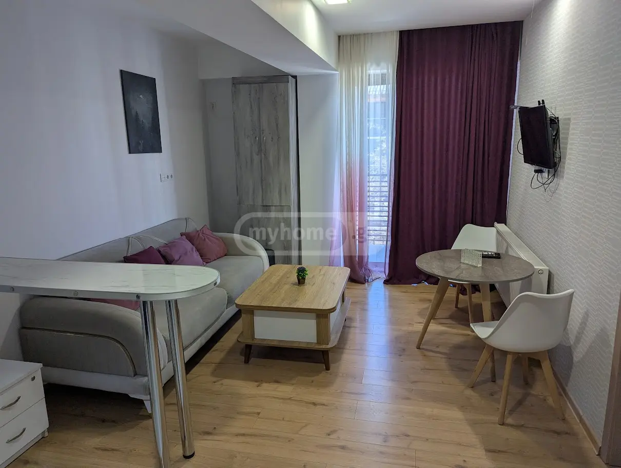 2 Room Apartment For Rent In Bakuriani view 2
