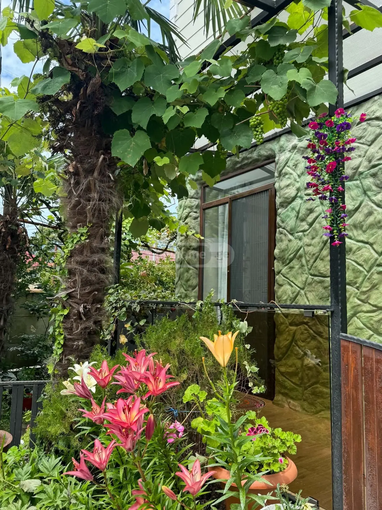 3 Room Private House For Rent In Chaqvi, In Kobuleti Municipality view 10