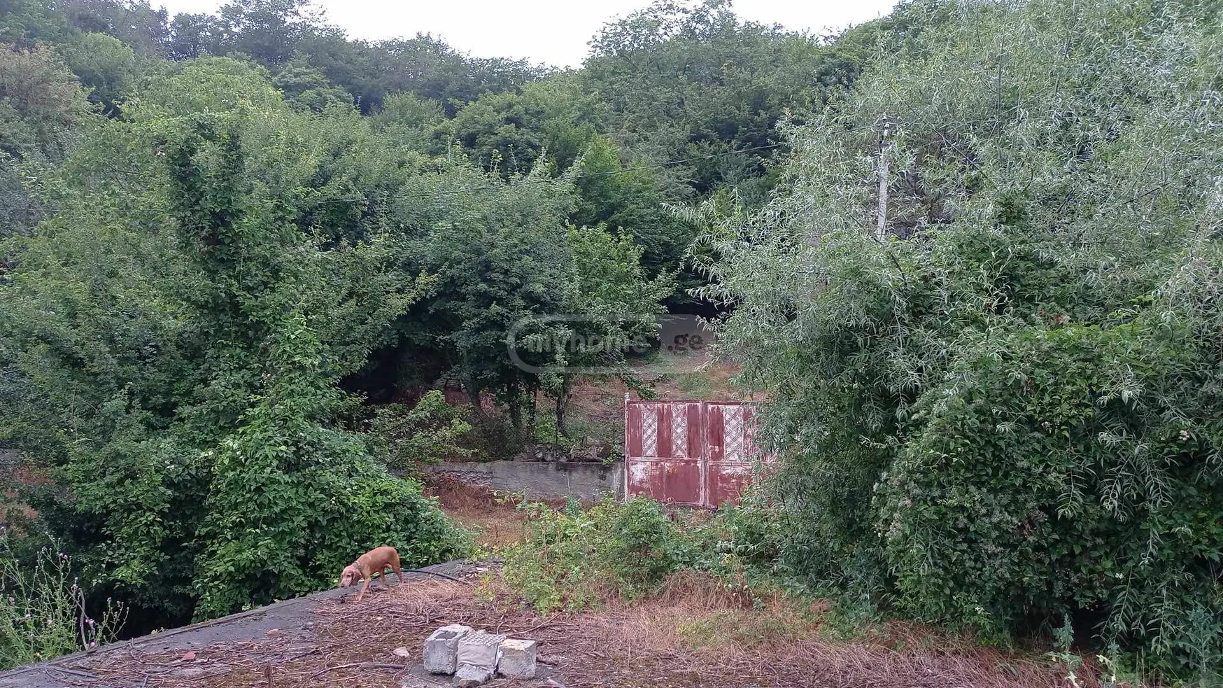 5 Room Country House For Sale view 5